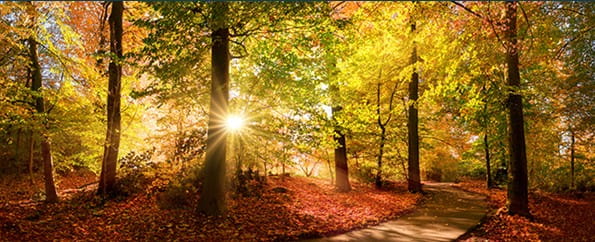 Fall 2023 Newsletter