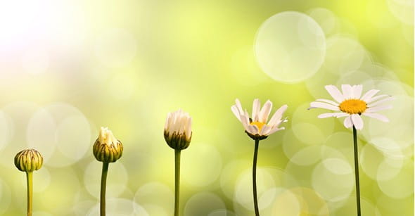 Spring 2023 Newsletter