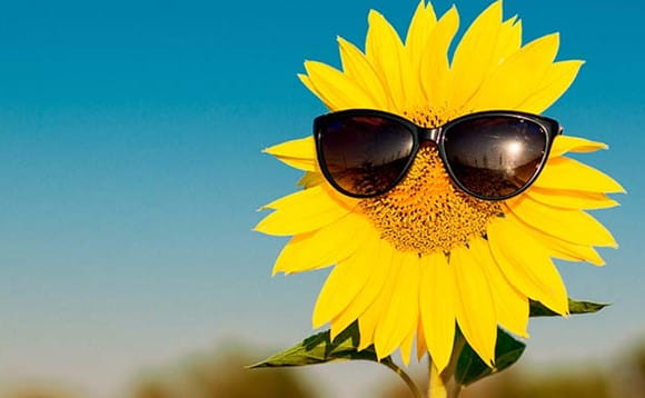 Summer 2022 Newsletter